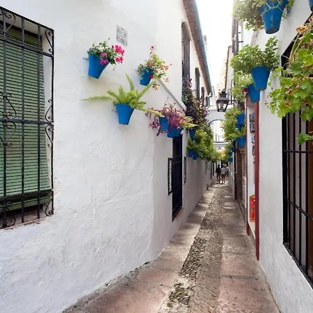 公寓 Apartamento Carey