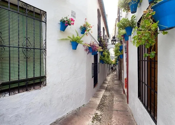 Apartment Apartamento Carey